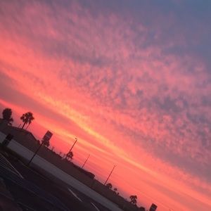 Meet your Posher, Bella